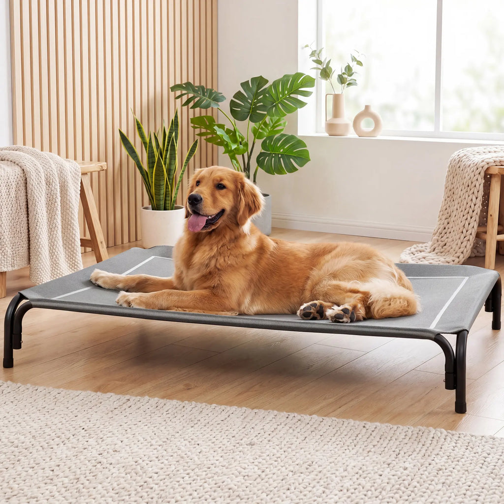 【Tiktokshopbacktoschool】 Cozila Elevated Dog Bed for Large Dogs, Cooling Pet Cot with Breathable Mesh & Durable Frame, Easy to Clean Raised Pet Mats for Indoor & Outdoor Home Summervibes Petlovers Outdoorfun Campingessentials