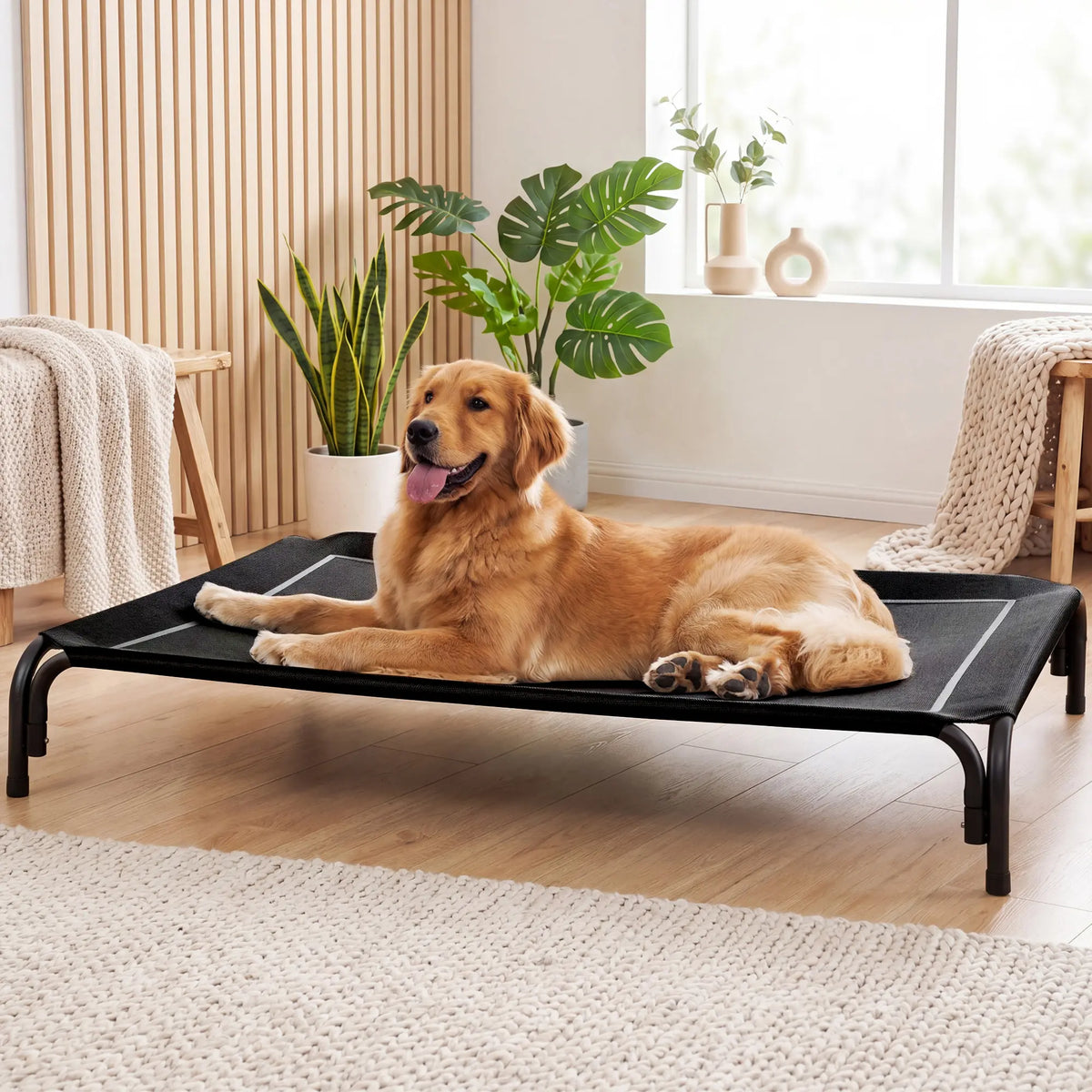 【Tiktokshopbacktoschool】 Cozila Elevated Dog Bed for Large Dogs, Cooling Pet Cot with Breathable Mesh & Durable Frame, Easy to Clean Raised Pet Mats for Indoor & Outdoor Home Summervibes Petlovers Outdoorfun Campingessentials