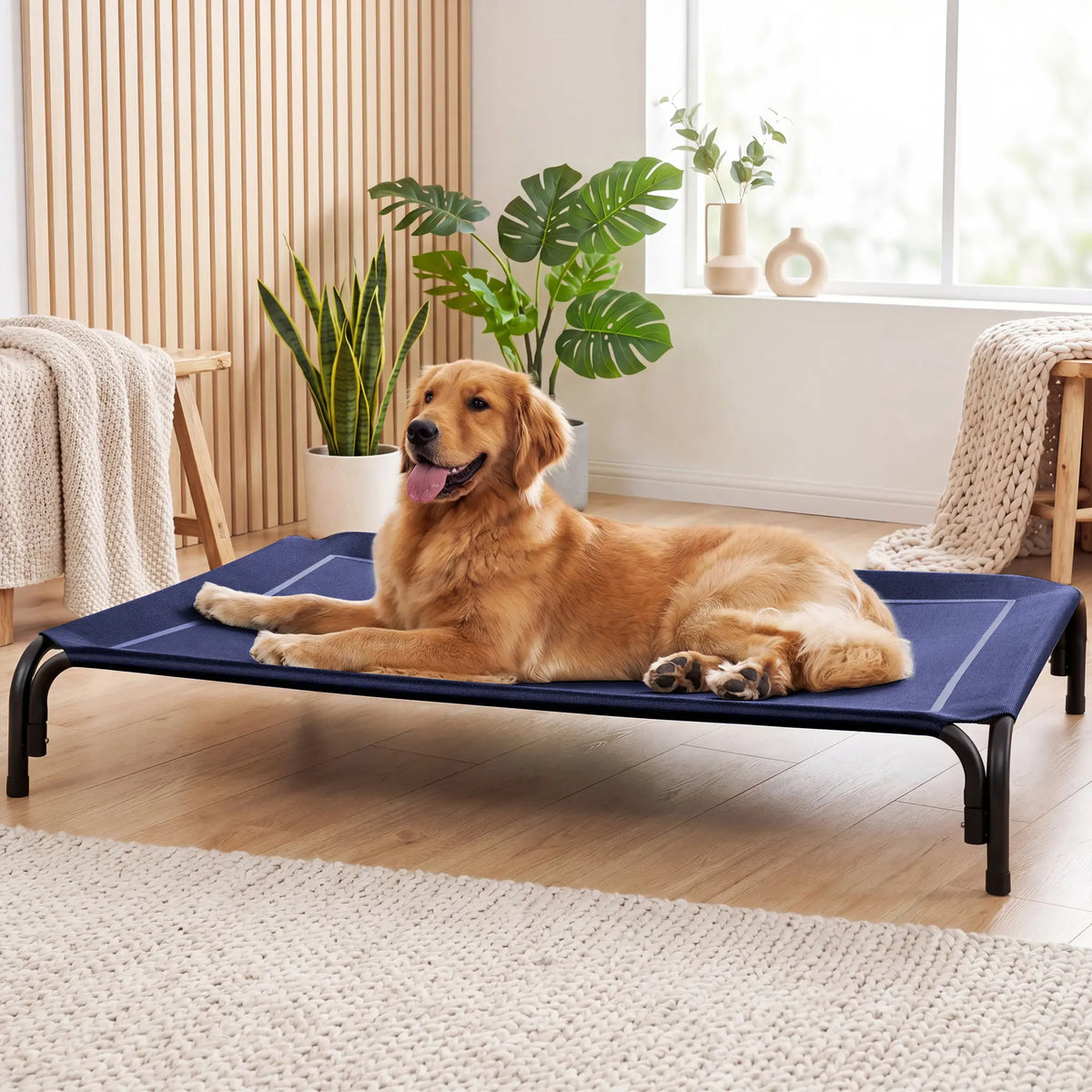 【Tiktokshopbacktoschool】 Cozila Elevated Dog Bed for Large Dogs, Cooling Pet Cot with Breathable Mesh & Durable Frame, Easy to Clean Raised Pet Mats for Indoor & Outdoor Home Summervibes Petlovers Outdoorfun Campingessentials